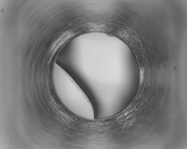 X0000059240291200510140827