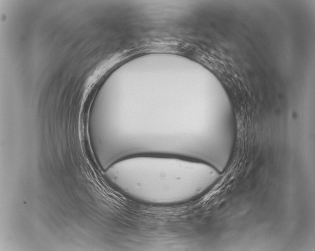 X0000059240294200510140827