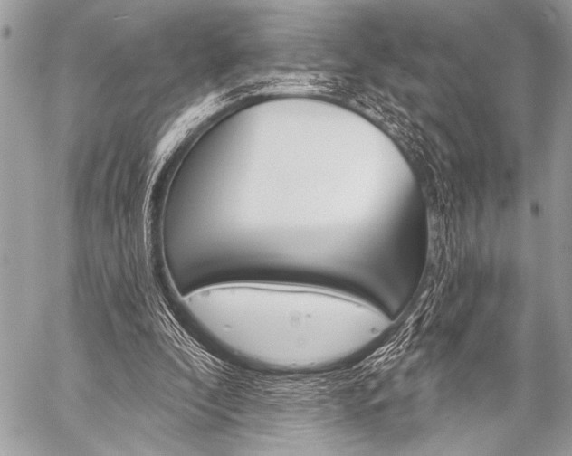 X0000059240296200510140827