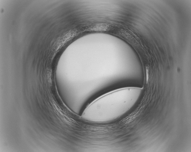 X0000059240300200510140827