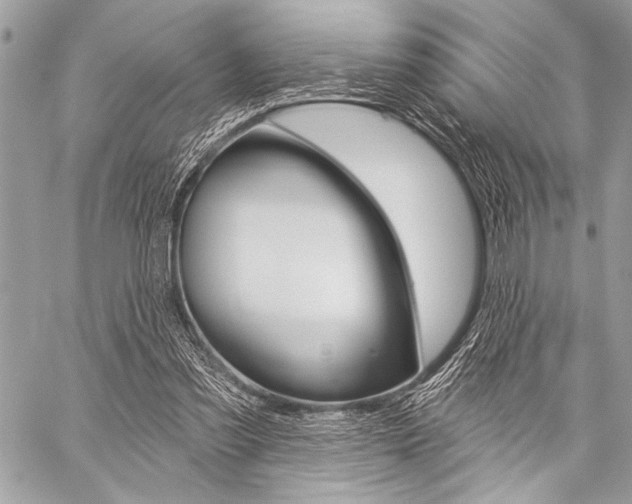 X0000059240301200510140827