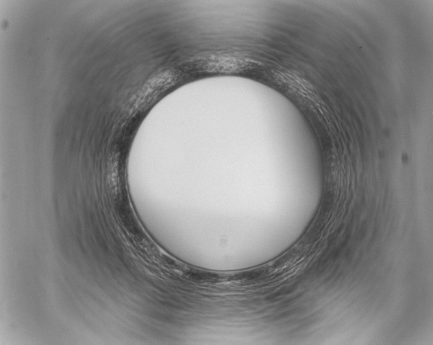 X0000059240312200510140827