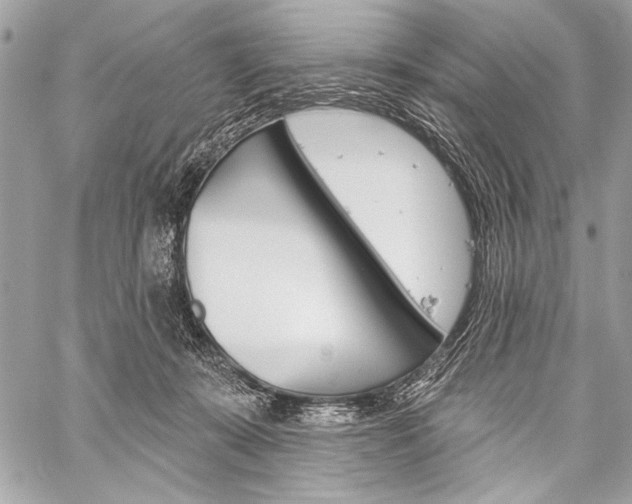 X0000059240319200510140827