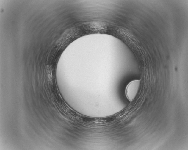 X0000059240320200510140827