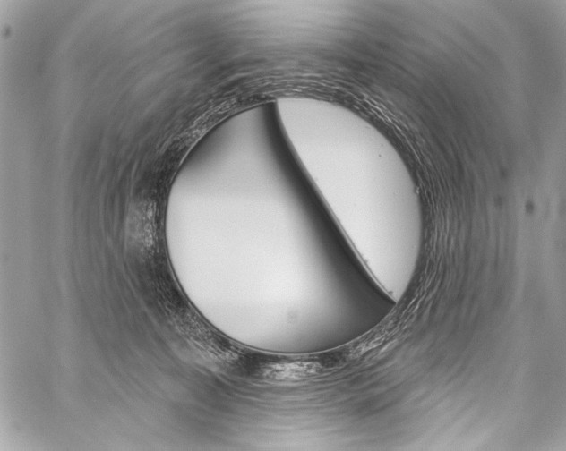X0000059240323200510140827