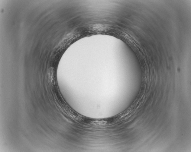 X0000059240328200510140827
