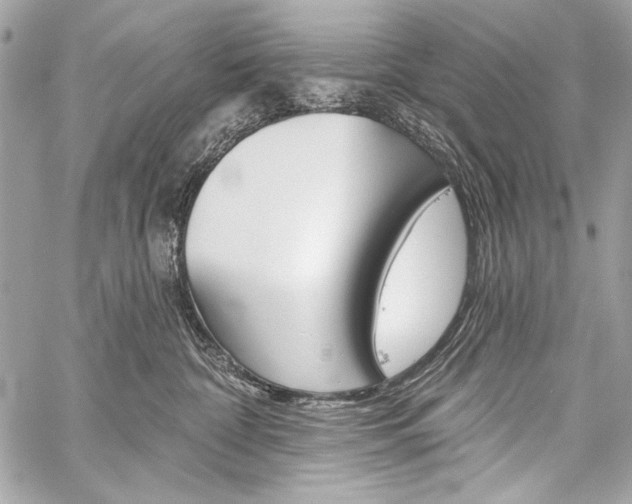 X0000059240332200510140826