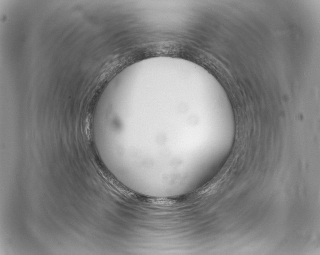 X0000059240336200510140826