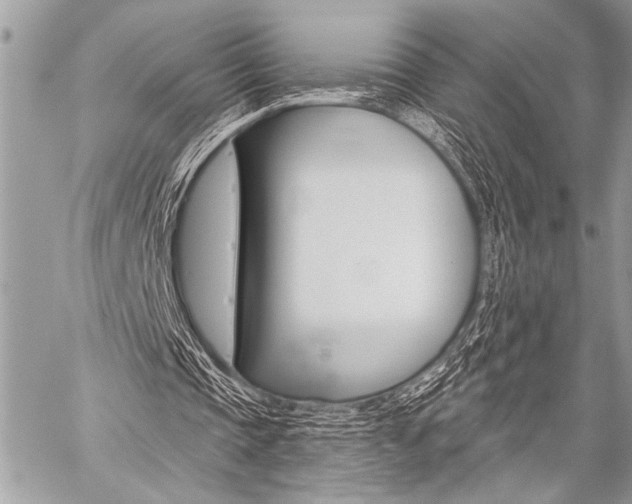 X0000059240337200510140826