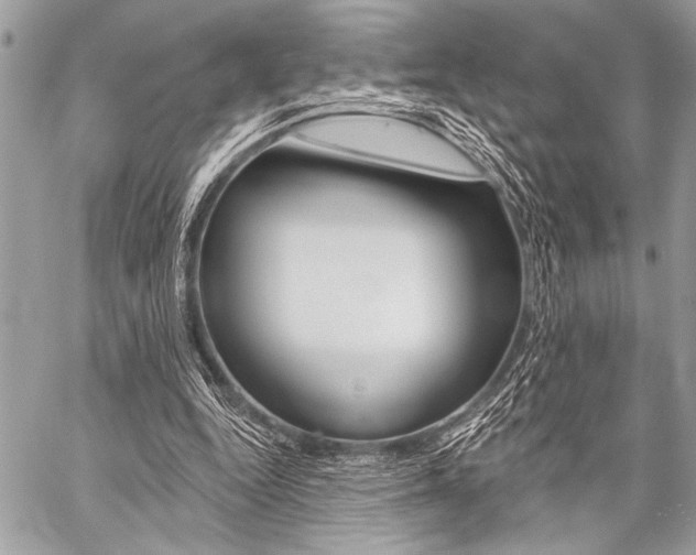 X0000059240344200510140826