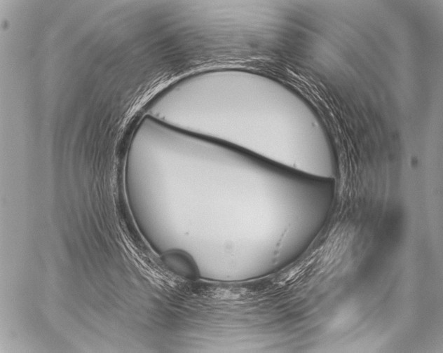 X0000059240346200510140826