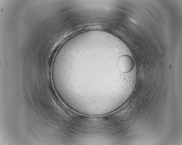 X0000059240347200510140826