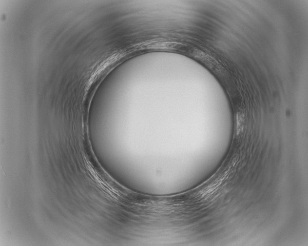 X0000059240349200510140826