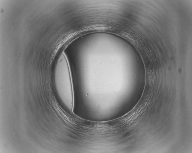 X0000059240350200510140826