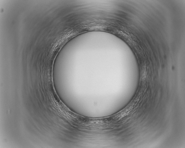 X0000059240353200510140826