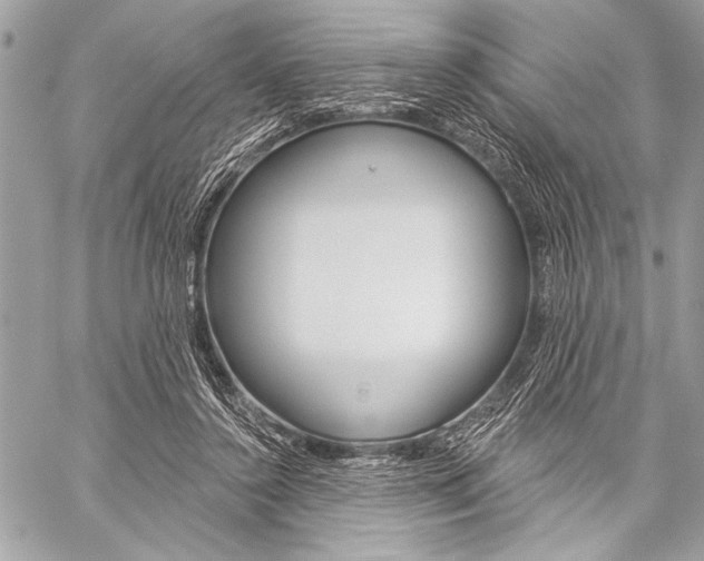 X0000059240356200510140826