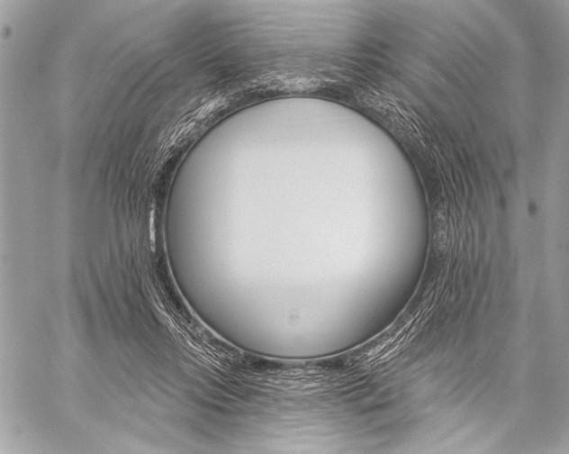 X0000059240358200510140826