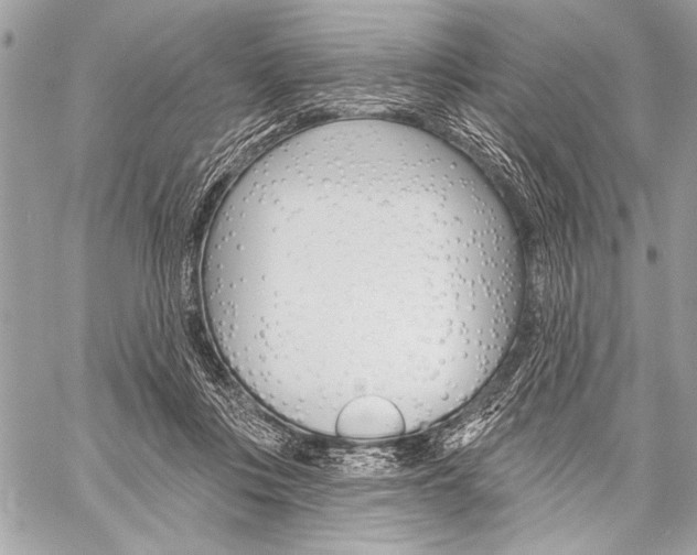 X0000059240359200510140826