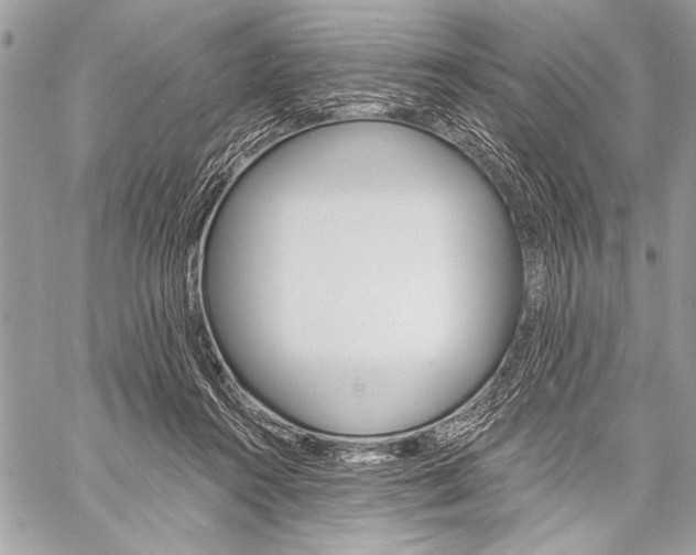 X0000059240360200510140826