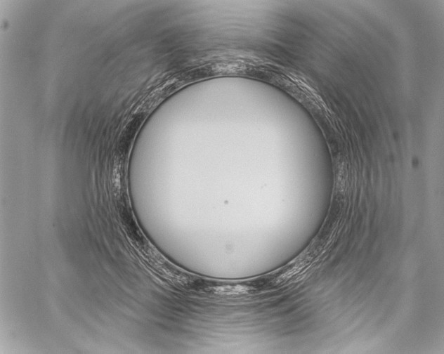 X0000059240363200510140826