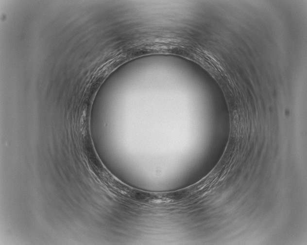 X0000059240364200510140826