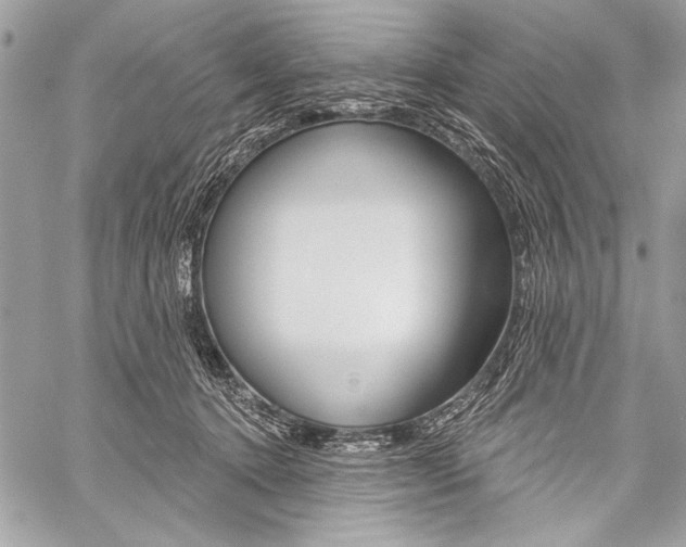 X0000059240368200510140826