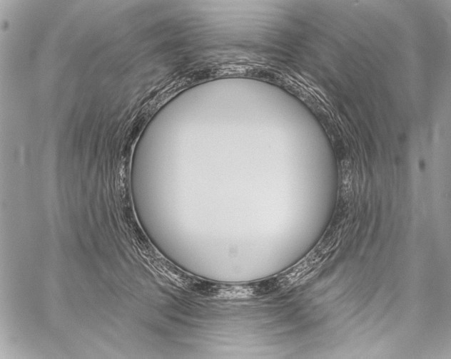 X0000059240369200510140826