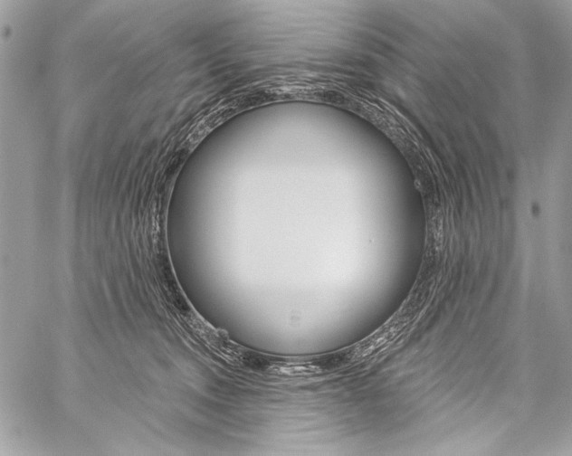 X0000059240372200510140826