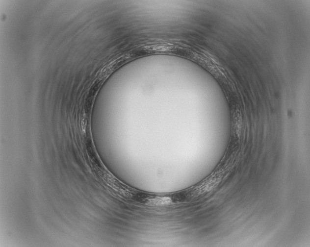 X0000059240374200510140826