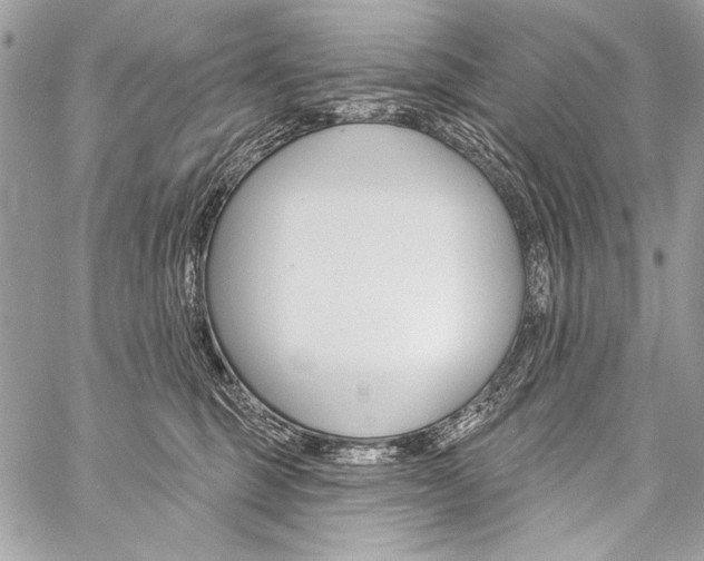 X0000059240375200510140826