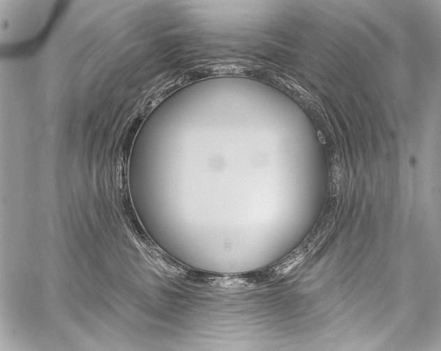 X0000059240379200510140826