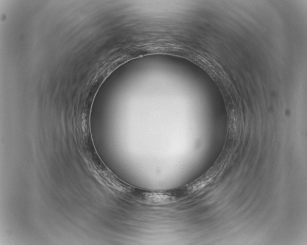 X0000059240380200510140826