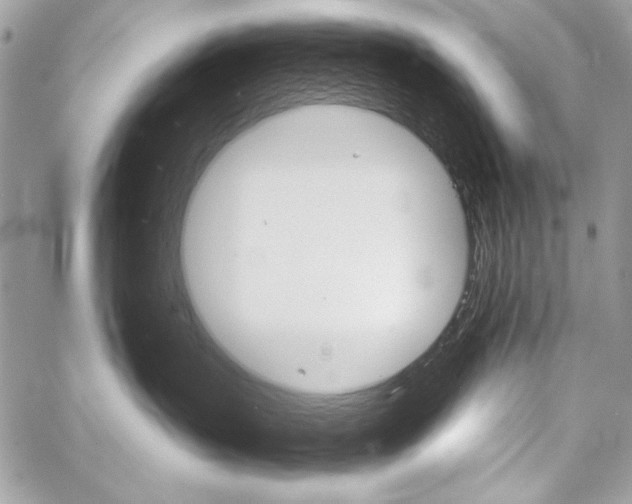 X0000059240383200510140826