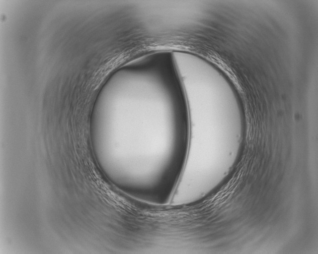 X0000059240385200510140826