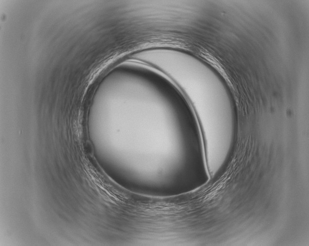 X0000059240387200510140826