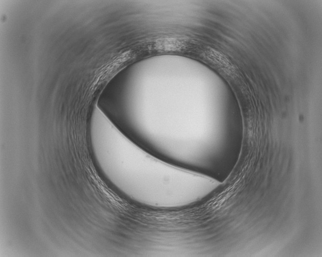 X0000059240401200510140825