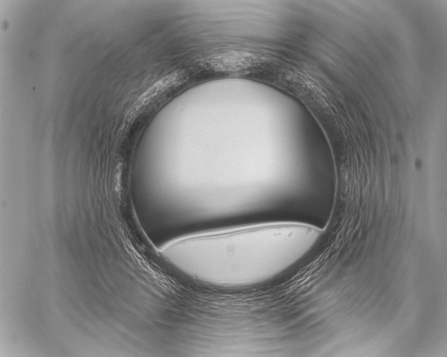X0000059240404200510140825