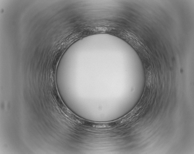 X0000059240414200510140825