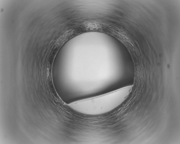 X0000059240417200510140825