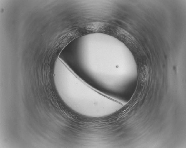 X0000059240420200510140825