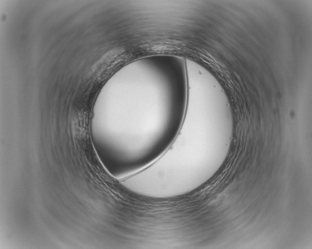 X0000059240421200510140825
