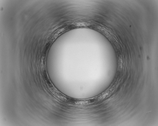X0000059240422200510140825