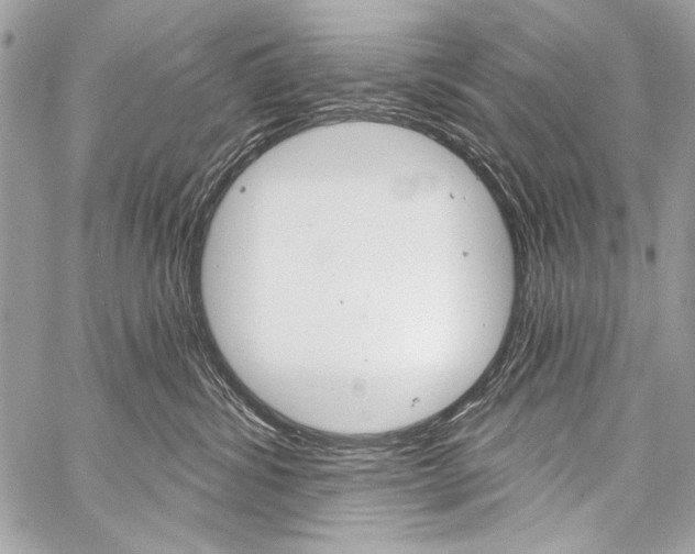 X0000059240428200510140825