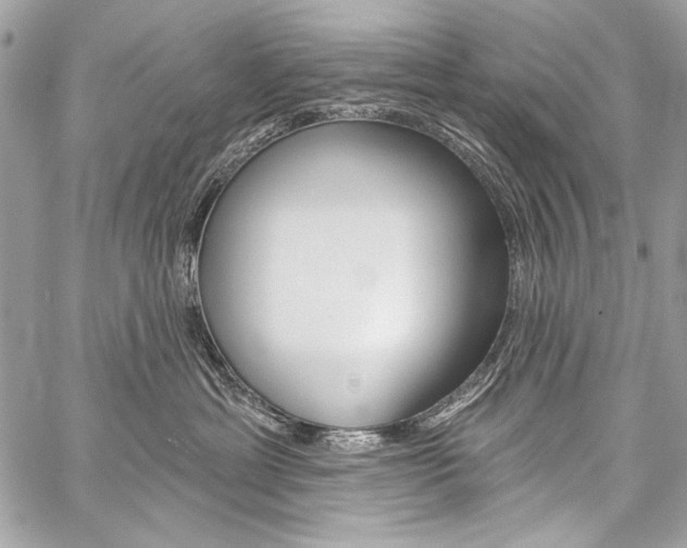X0000059240429200510140825