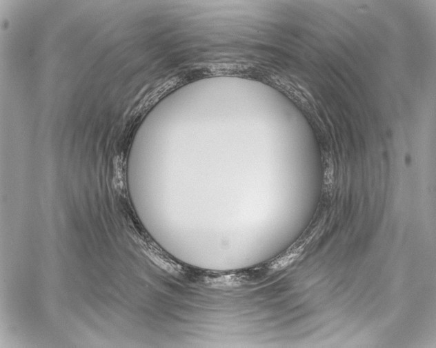 X0000059240430200510140825