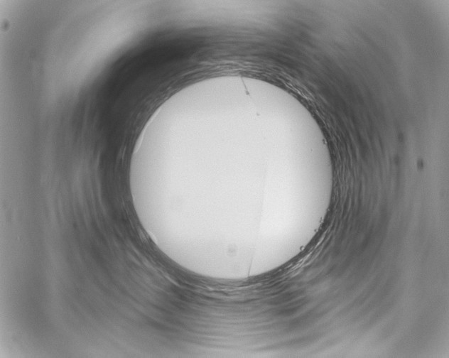 X0000059240431200510140825