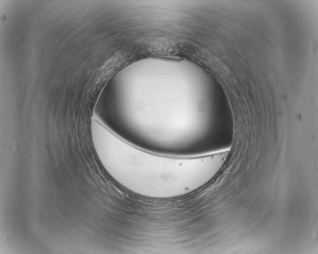 X0000059240432200510140825