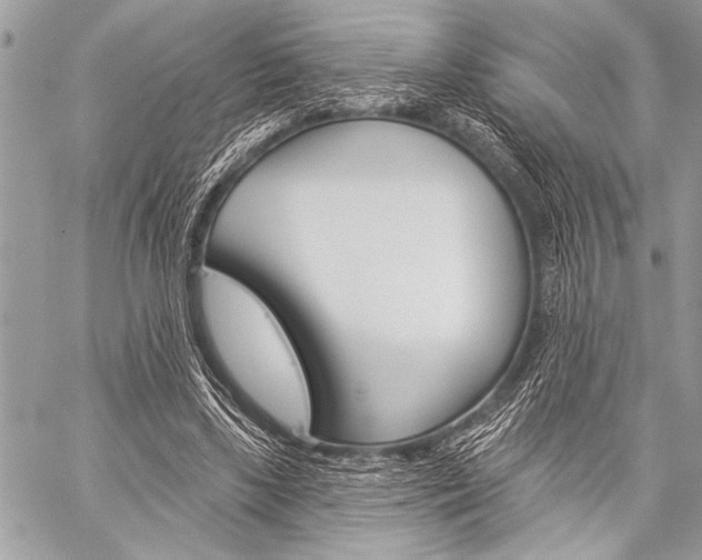 X0000059240443200510140824