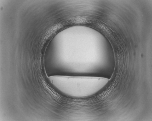 X0000059240447200510140824