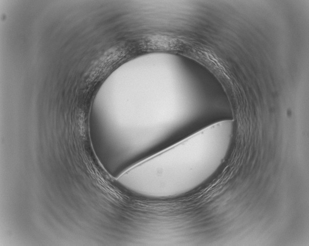 X0000059240457200510140824